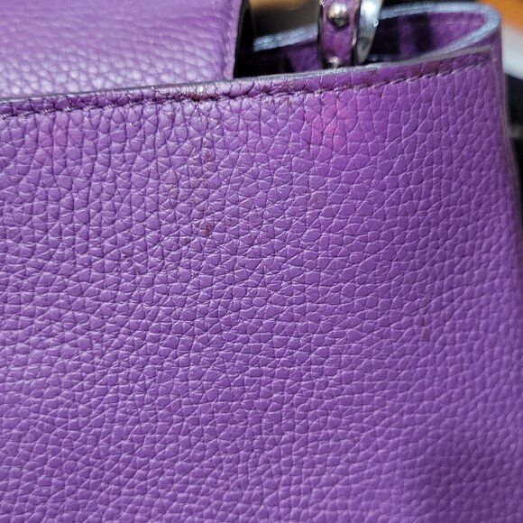 Louis Vuitton Purple Taurillon Leather Capucines MM - Picture 8 of 15